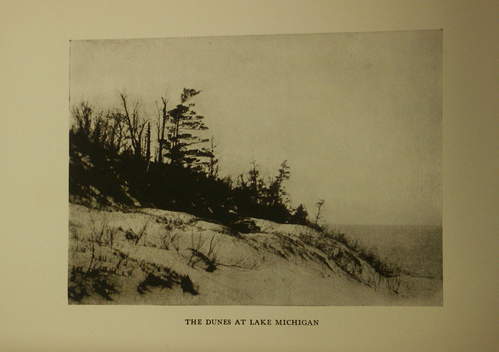 The dunes at Lake Michigan